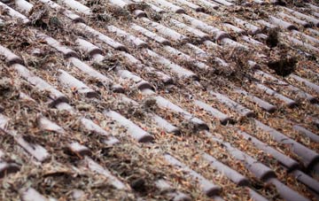 Oldcastle roof cleaning companies